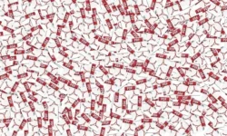 How To Make PDF Load Faster In Adobe Reader